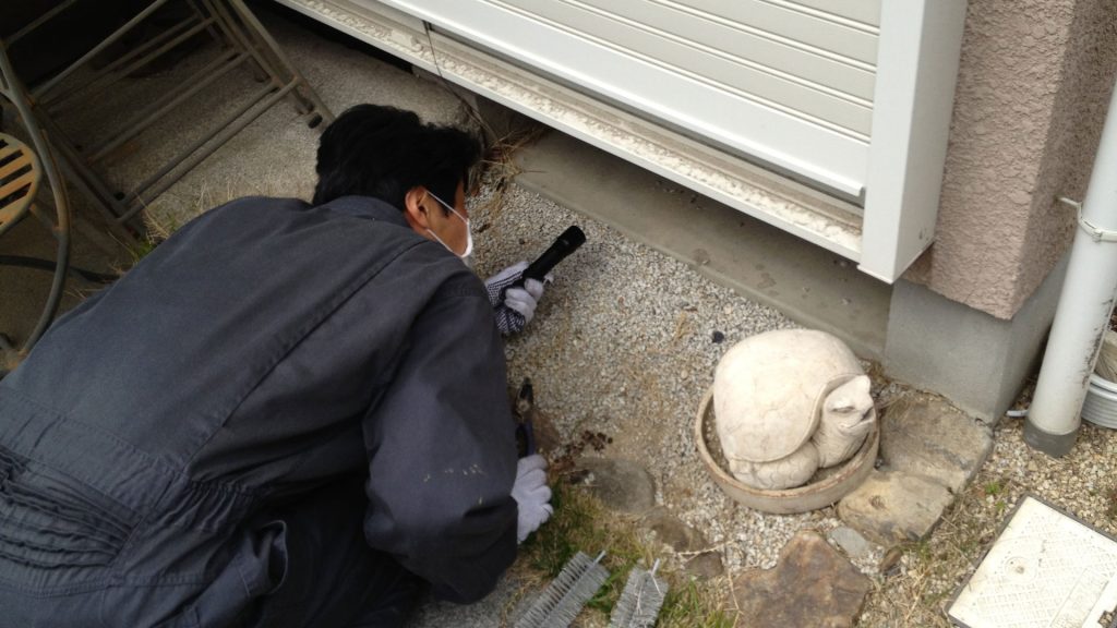 ネズミ駆除作業
