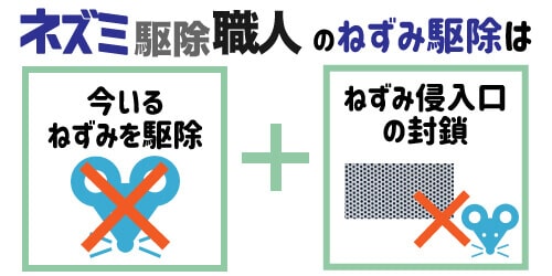 株式会社ラットのネズミ駆除は追い出し＋侵入口の封鎖