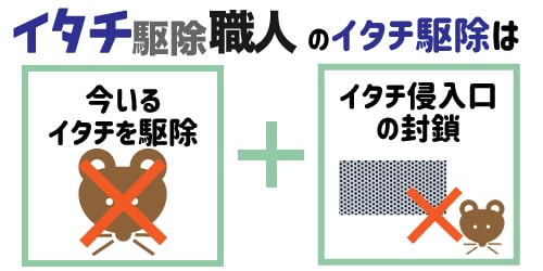 株式会社ラットのイタチ駆除方法は追い出しと侵入口の封鎖がセット