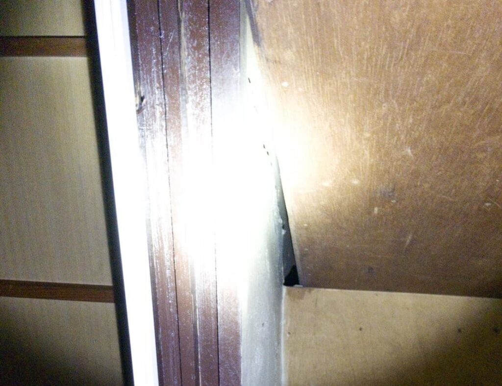 神戸市のネズミ被害事例